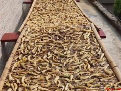 青辣椒怎么晒成白辣椒