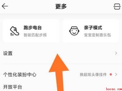 QQ听歌状态为什么不显示歌词(演示机型:Iphone 13)