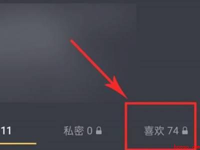 抖音喜欢列表怎么翻到最早的（演示机型:Iphone 13）