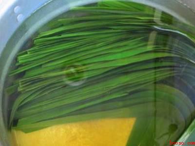 怎样煮粽叶有韧性