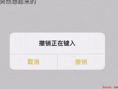 iphone备忘录全选粘贴全没了