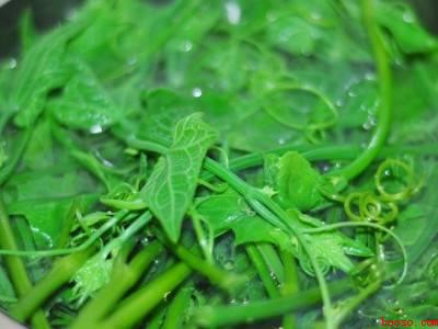 南瓜尖怎么处理干净