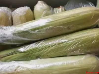 鲜玉米怎么保存到冬天