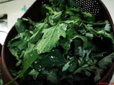 灰条菜怎么做好吃