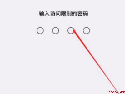 苹果X在哪儿设置应用加密