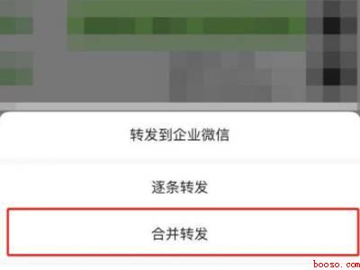 微信聊天记录怎么打包发送给好友(演示机型:Iphone 12)