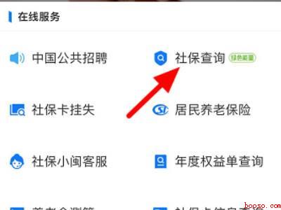 2021支付宝怎么查社保卡余额（演示机型:Iphone 12）