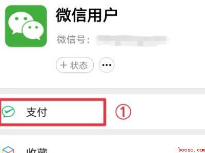 微信支付忘记了密码怎么办（演示机型:Iphone 13）