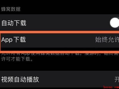 苹果用流量下载大于200m怎么调