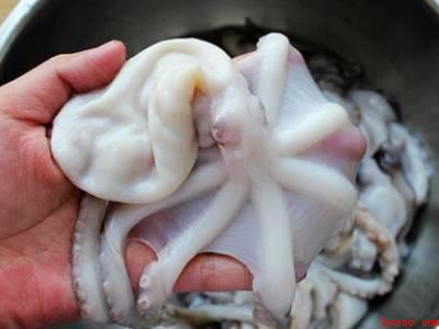 章鱼怎么清洗处理