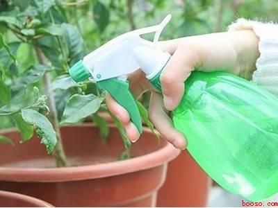 竹椅子起了粉虫怎么办