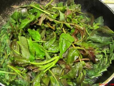 香椿炒肉怎么做好吃