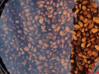 家庭怎样炒松子能开口（炒松子炒开口的方法需要3个步骤,需注意掌握火候）