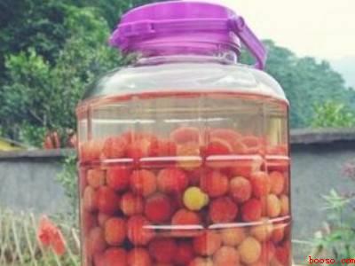 杨梅酒的制作方法步骤比例