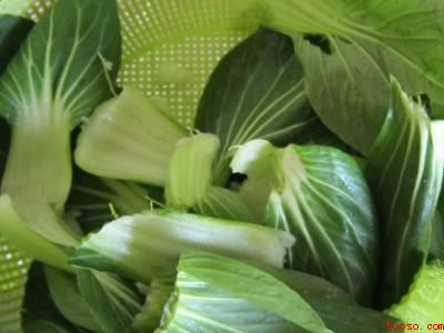 贝柱怎么做好吃