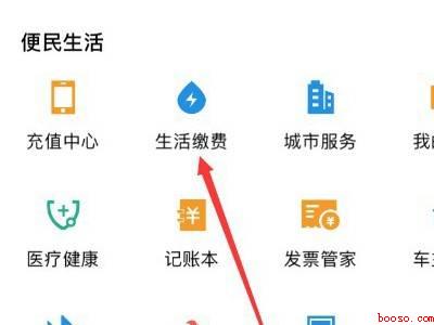 支付宝怎么查电费每月账单（演示机型:Iphone 12）