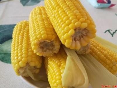 玉米怎么煮才好吃又嫩又好吃