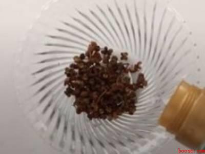 自制灭蚊子的小妙招