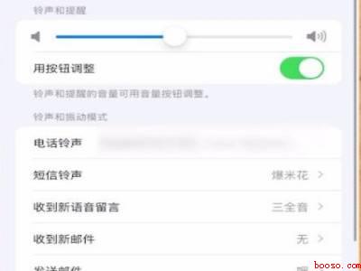 苹果13怎么设置自己喜欢的铃声