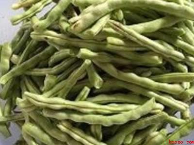 短豆角可以晒干吗