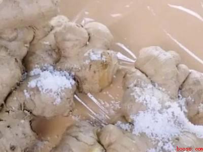 姜怎样保存才不干不烂