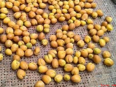 黄皮核怎么制作方法