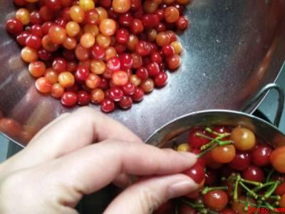 大樱桃怎么保存可以放冰箱里吗