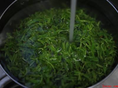 柳芽怎么做好吃