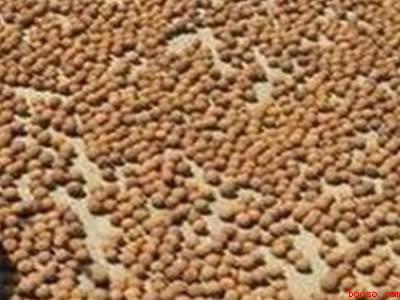 带壳的龙眼怎么晒干