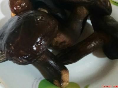 怎么保存野生菌放一年都不坏