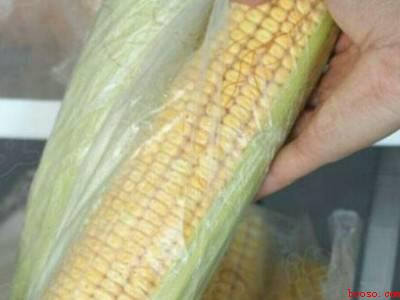 煮好的玉米怎么保存