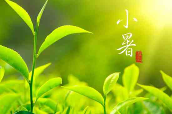 24个节气顺口溜