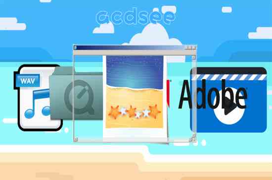 acdsee是什么软件(acdsee是数字图像处理软件)