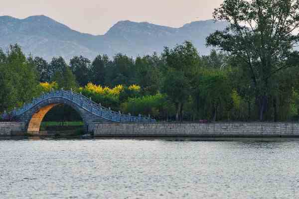 古代的泗水在哪里