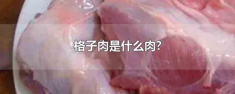 格子肉是什么肉?