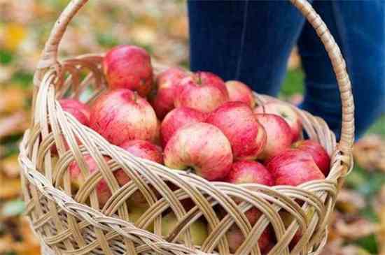 结婚准备什么水果(婚宴上必备的水果有哪些)