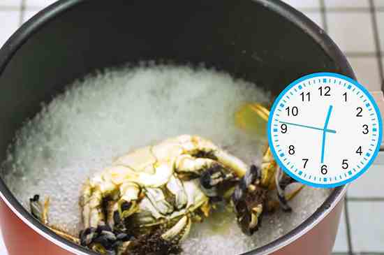 螃蟹煮多久(螃蟹需煮15～20分钟时间)