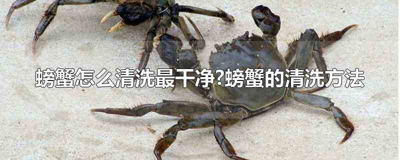 螃蟹的做法清蒸怎样清洗螃蟹(怎么清洗螃蟹和杀螃蟹)