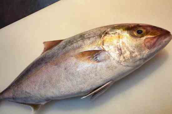 油甘鱼章红鱼怎么区分(油甘鱼和章红鱼可以根据其外观、生活环境、营养价值来区分)