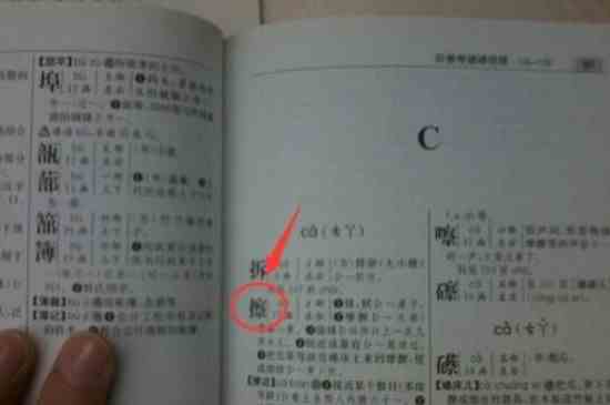 音节和音序的区别是什么(音节和音序的区别主要就是性质不同)