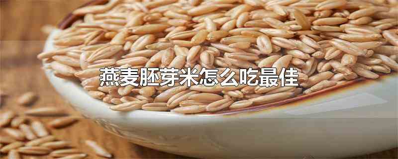 燕麦胚芽米怎么吃最佳