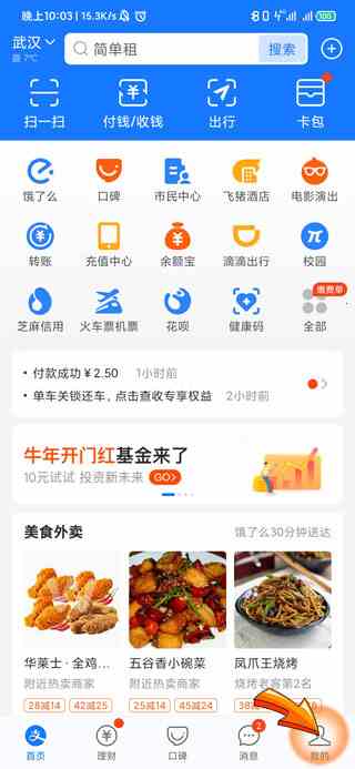 支付宝怎么设置限额支付(支付宝设置限额支付需要打开)