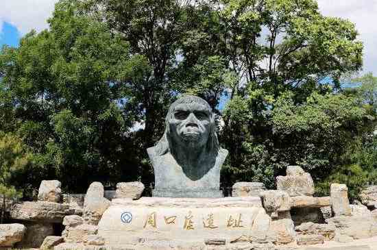 周口店位于北京哪个区(周口店是北京历史悠久的重镇)