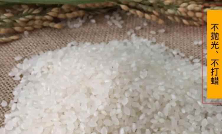 蟹田米和普通大米的区别是什么