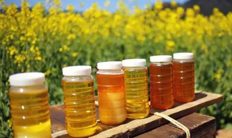 油菜花蜜属于几等蜂蜜