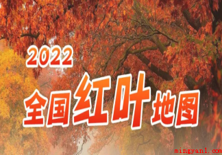 2022全国赏红叶地图（2022全国赏红叶地图 各地红叶最佳观赏期随天气变化略有变动）
