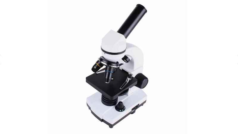 电子显微镜和光学显微镜区别