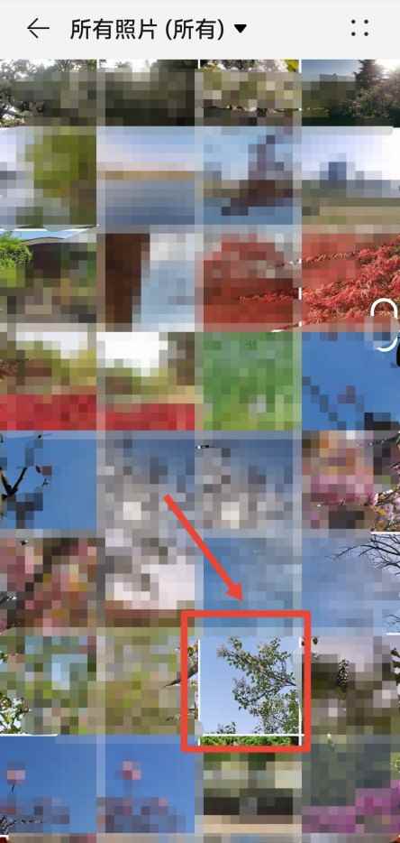 截图上怎么打上名字(微信截图打字操作/步骤)