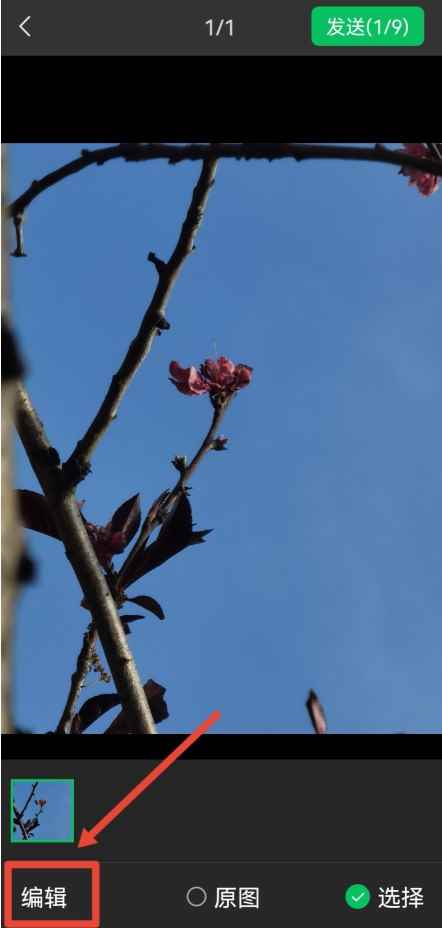 截图上怎么打上名字(微信截图打字操作/步骤)