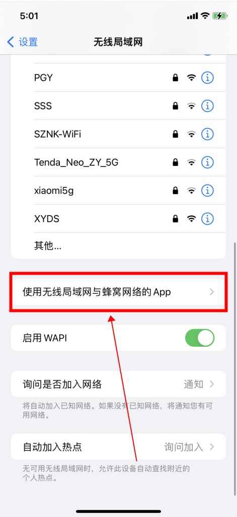苹果商店无法连接到app(iOS15)